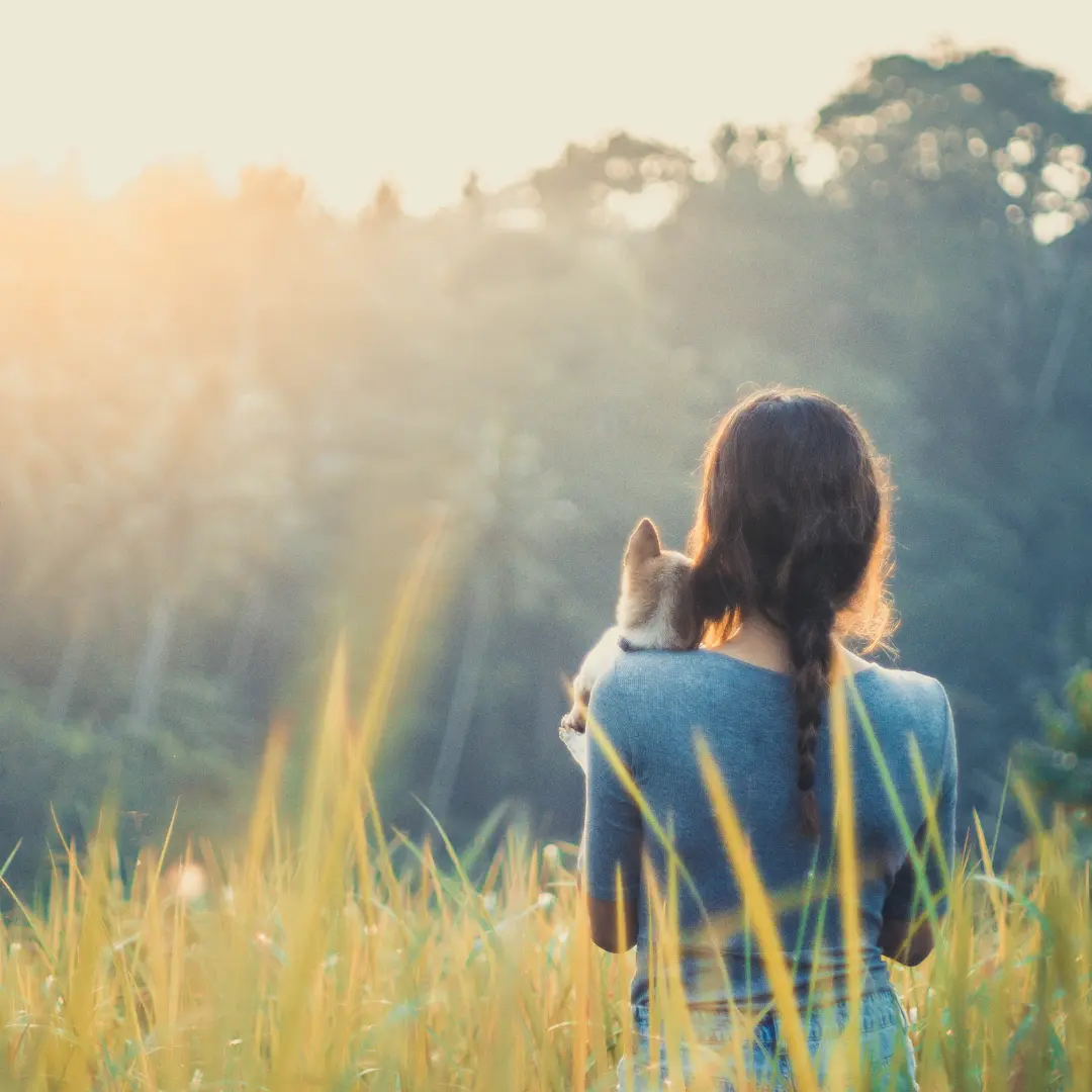 A person cradling their dog in a sunlit, tall grass field as the morning sun rises behind distant trees.